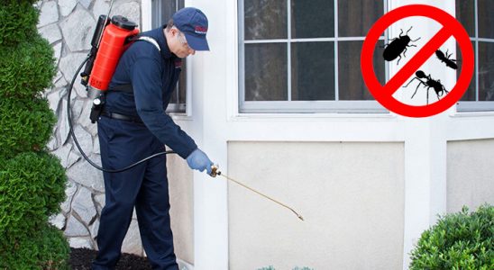 Karaçoban Kemirgen İlaçlama böcek ilaçlama ve haşere kontrolü — ilaclama-tr.com